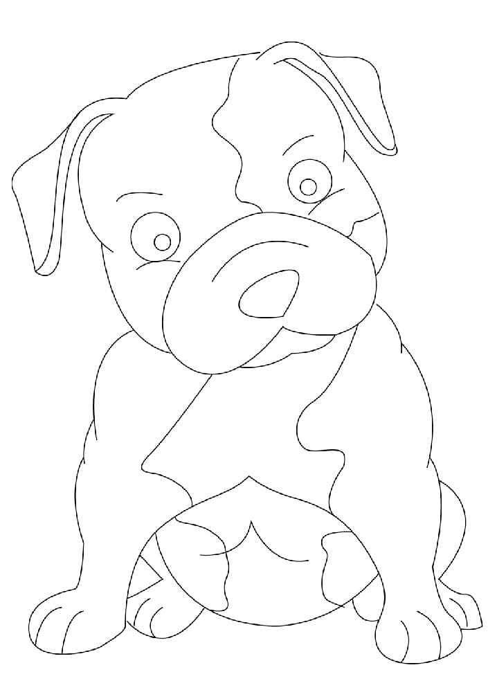 Baby Pitbull Dog Coloring Game Baby Pitbull Dog