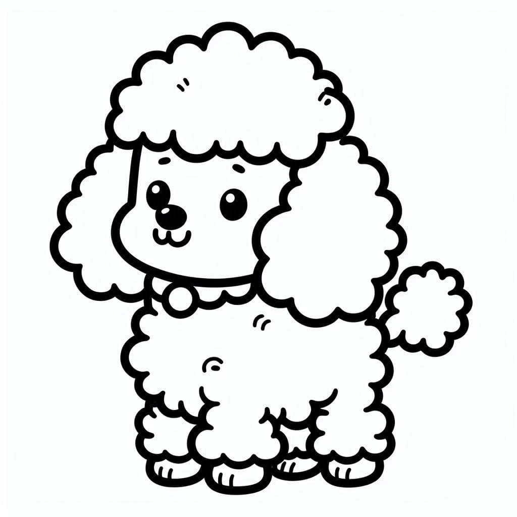 Baby Poodle