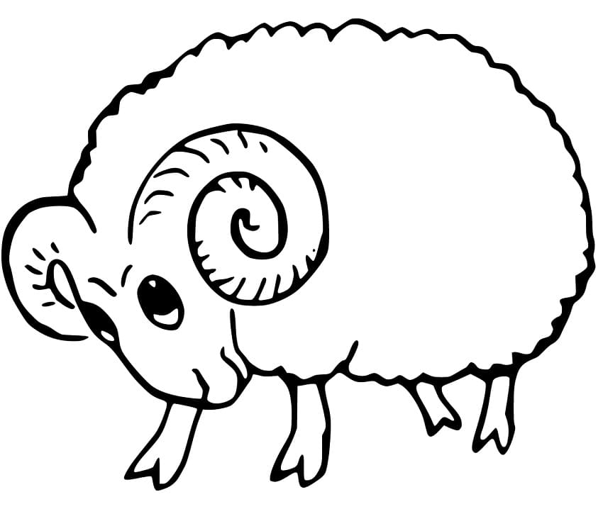 Baby Ram