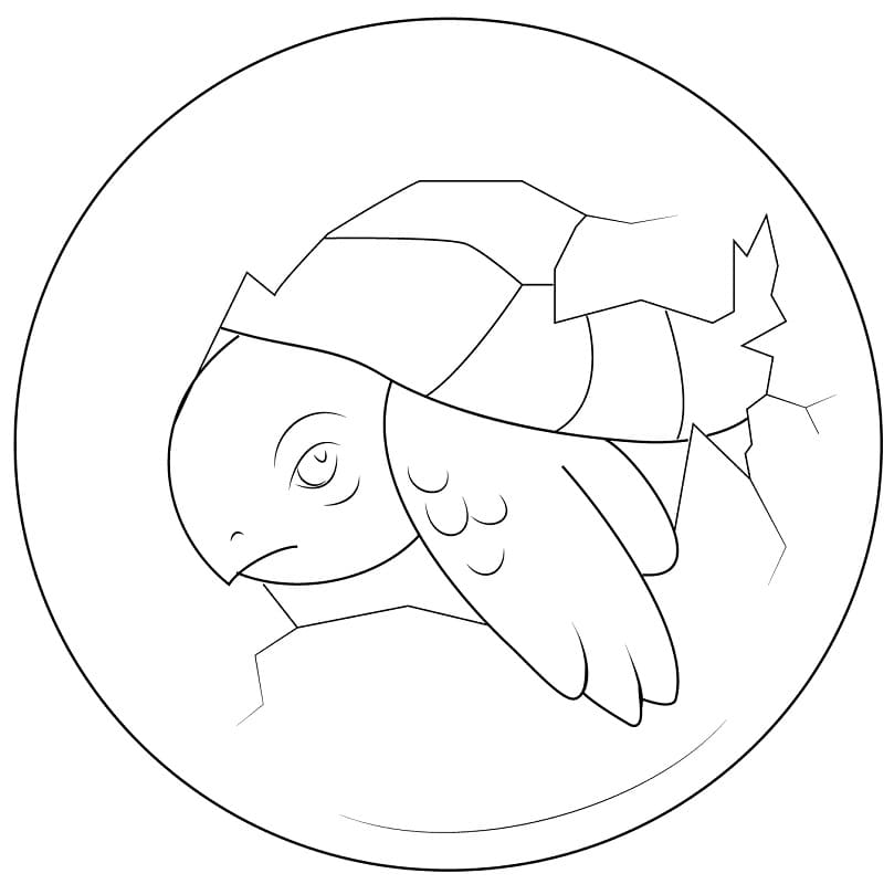 Baby Turtle Hatching from Egg Coloring Game Baby Turtle Hatching from Egg