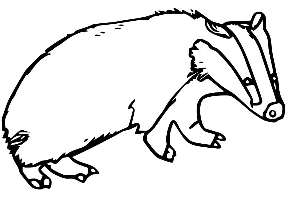 Badger 1 Coloring Game Badger 1