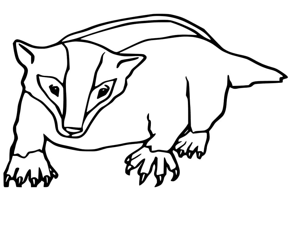 Badger 2 Coloring Game Badger 2