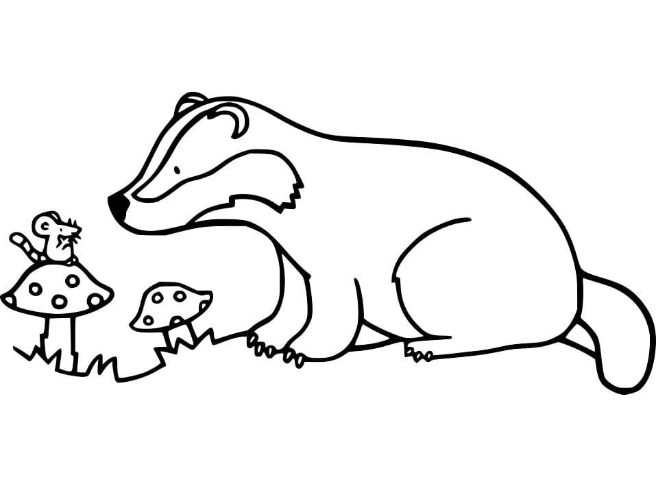 Badger and Mouse Coloring Game Badger and Mouse