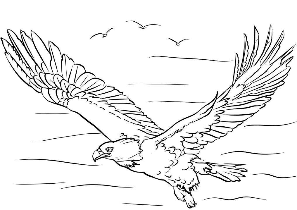 Bald Eagle Coloring Game Bald Eagle