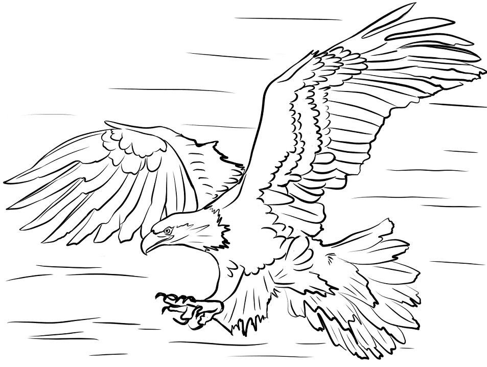 Bald Eagle Coloring Game Bald Eagle