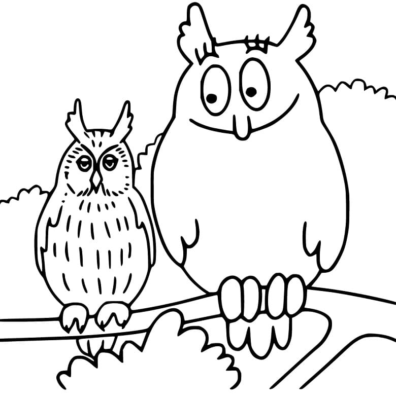 Barbabravo Owl Coloring Game Barbabravo Owl