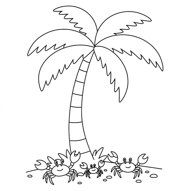 Basic Palm Tree