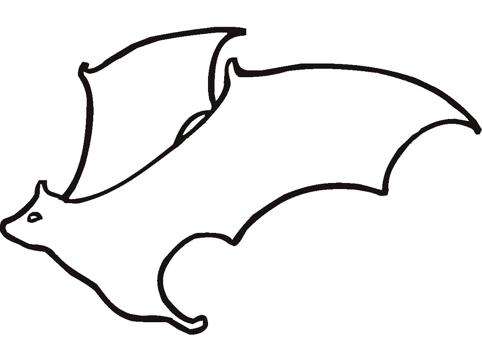 Bat Outline
