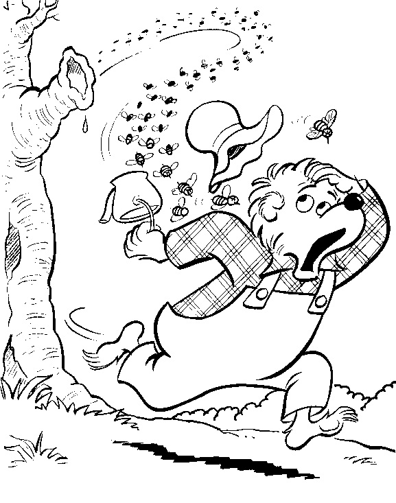 Berenstain Bears and Bees