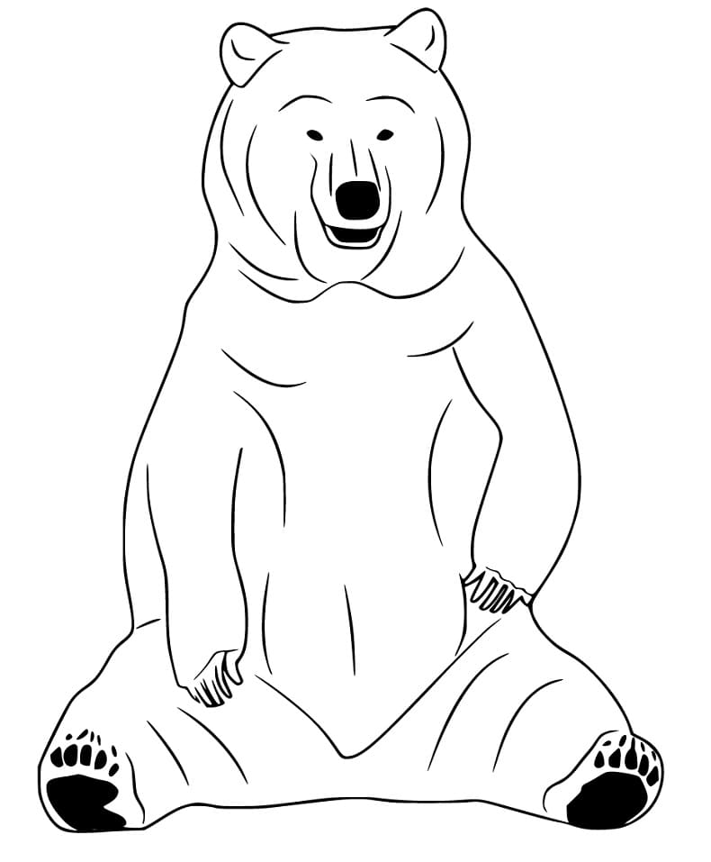 Black Bear Standing Coloring Play Free Coloring Game Online