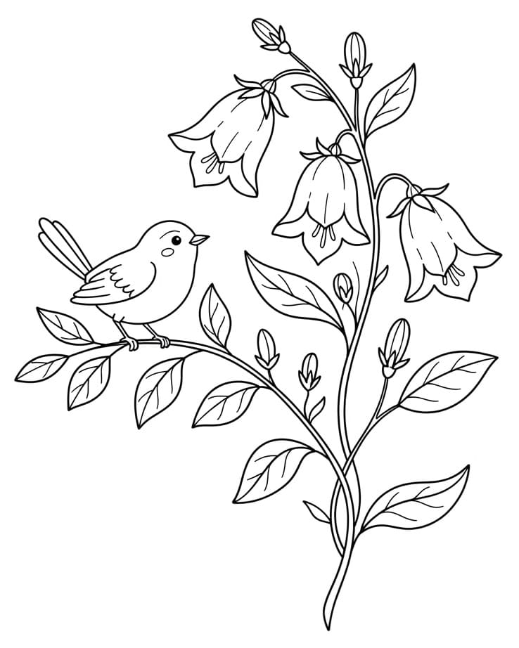 Bird and Bellflower