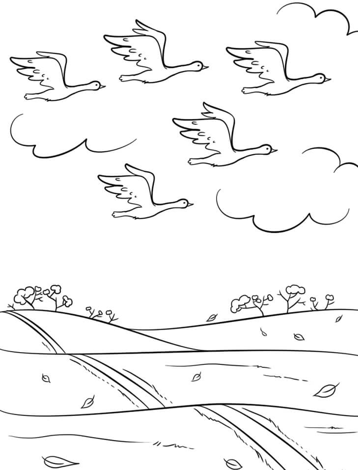 Birds Fly South in Autumn
