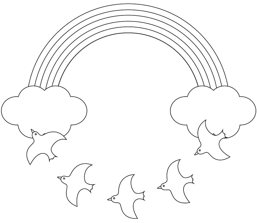 Birds and Rainbow