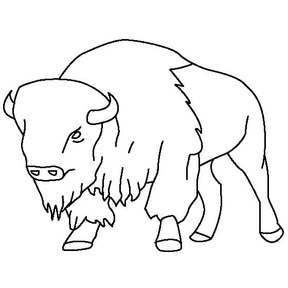Bison 1 Coloring Game Bison 1