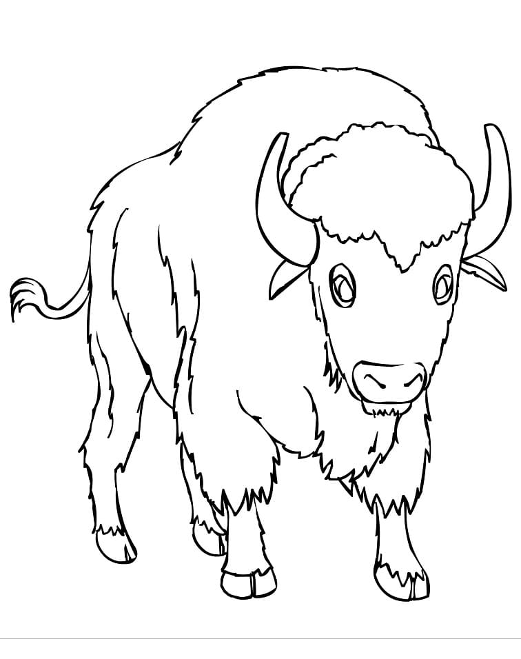 Bison 3 Coloring Game Bison 3