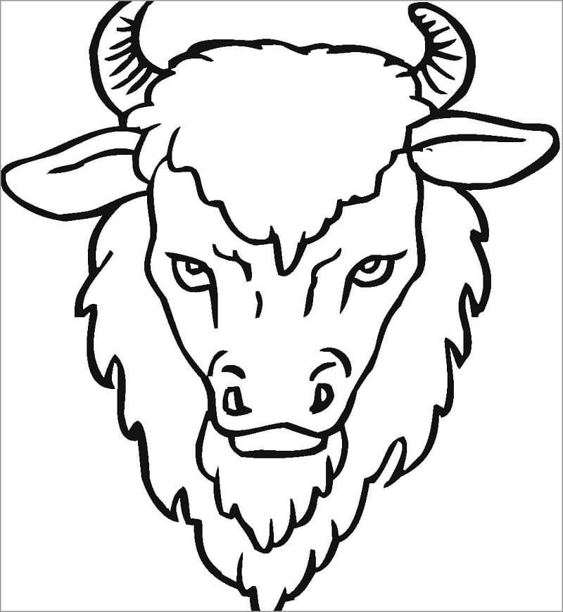 Bison Head Coloring Game Bison Head