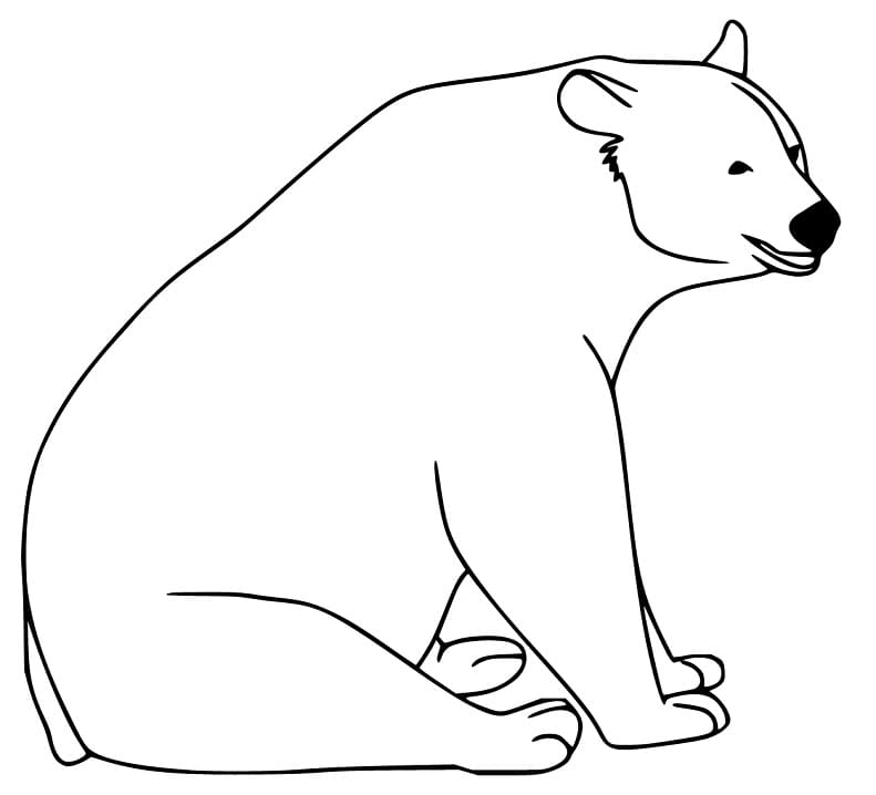 Black Bear 1 Coloring Game Black Bear 1