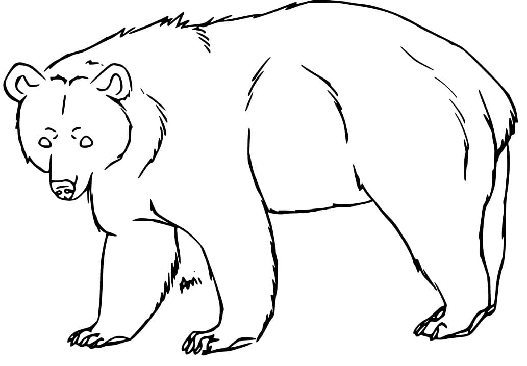 Black Bear 3 Coloring Game Black Bear 3