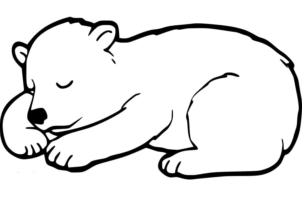 Black Bear Cub Sleeping Coloring Game Black Bear Cub Sleeping
