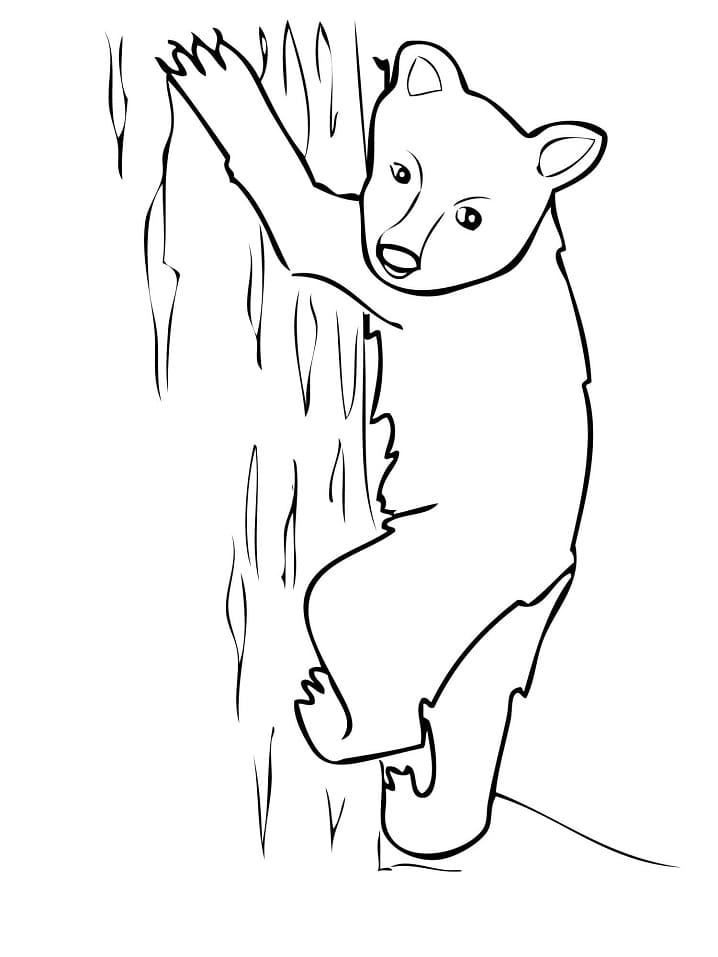 Black Bear Cub Coloring Game Black Bear Cub