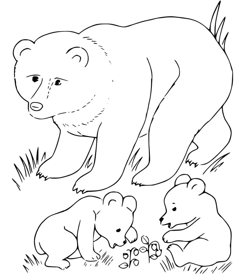 Black Bear Cubs Coloring Game Black Bear Cubs