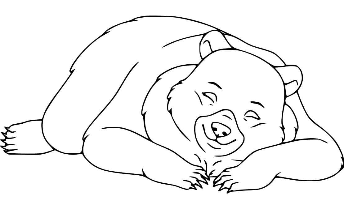 Black Bear Sleeping Coloring Game Black Bear Sleeping