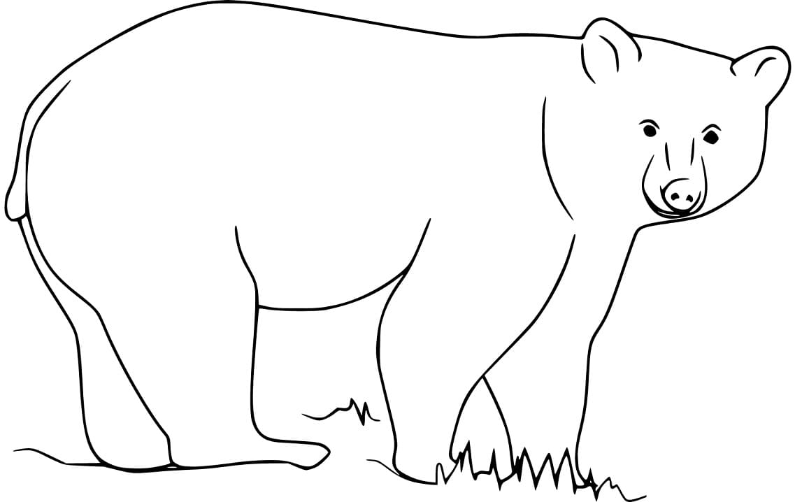 Black Bear on Grass Coloring Game Black Bear on Grass