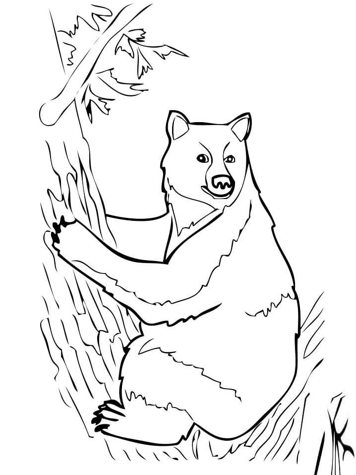 Black Bear on Tree Coloring Game Black Bear on Tree