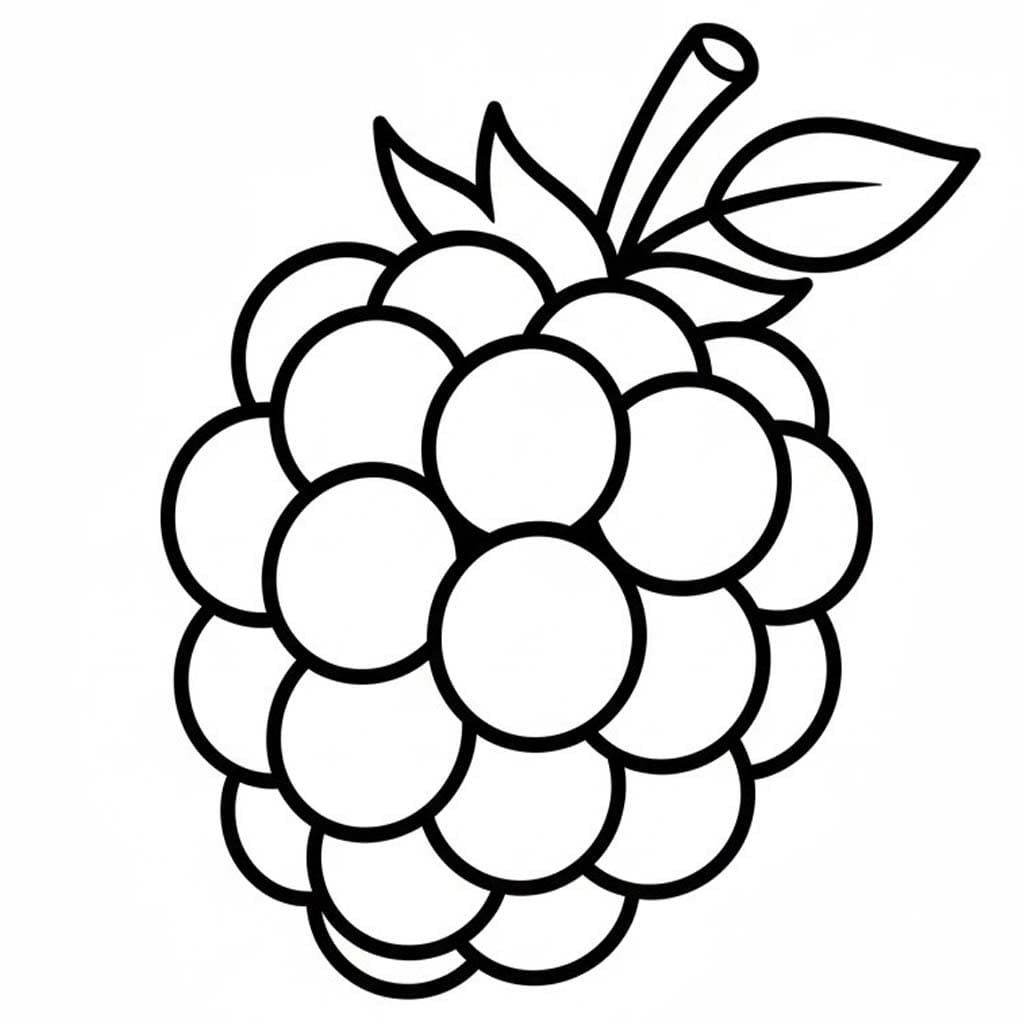 Blackberry Printable