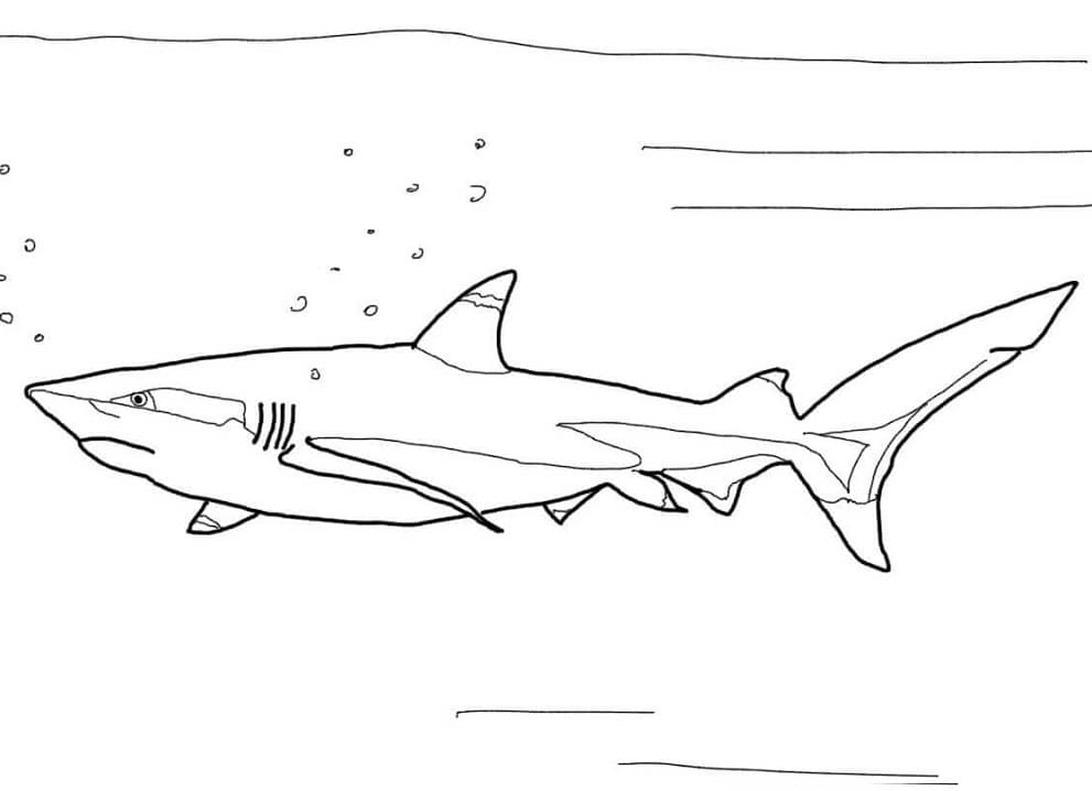 printable-happy-shark-coloring-play-free-coloring-game-online