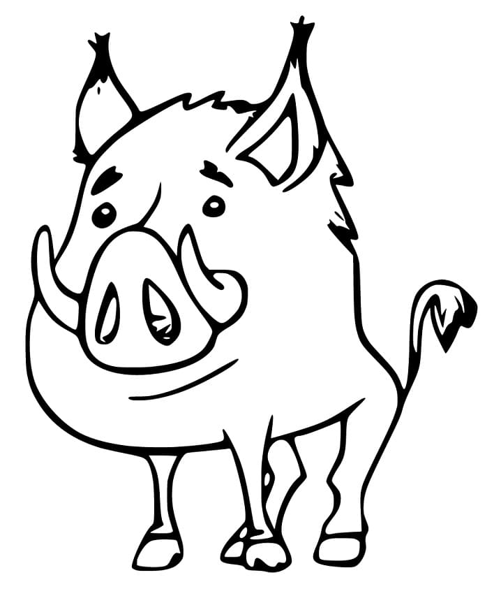 Boar Smiling