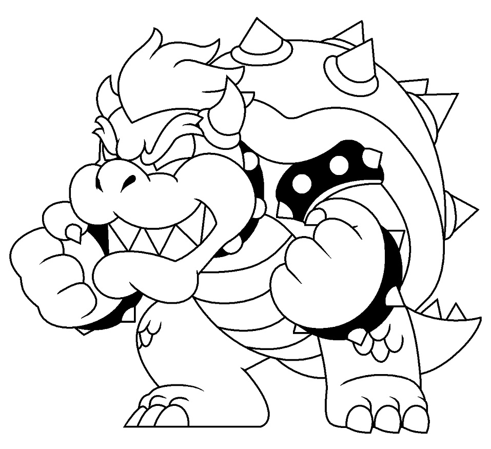 Bowser 1