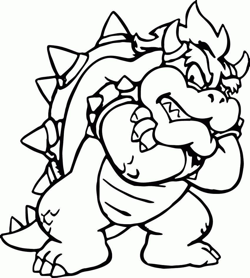 Bowser 5