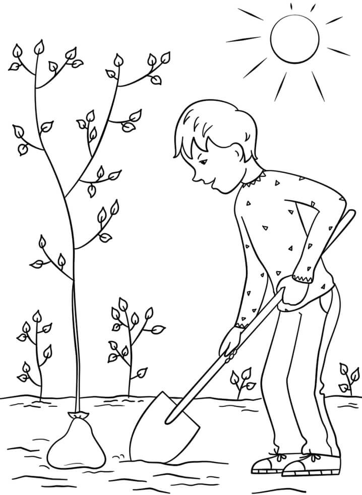 Boy Planting a Tree