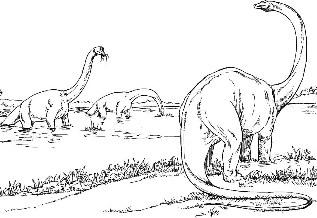 Brachiosaurus 2