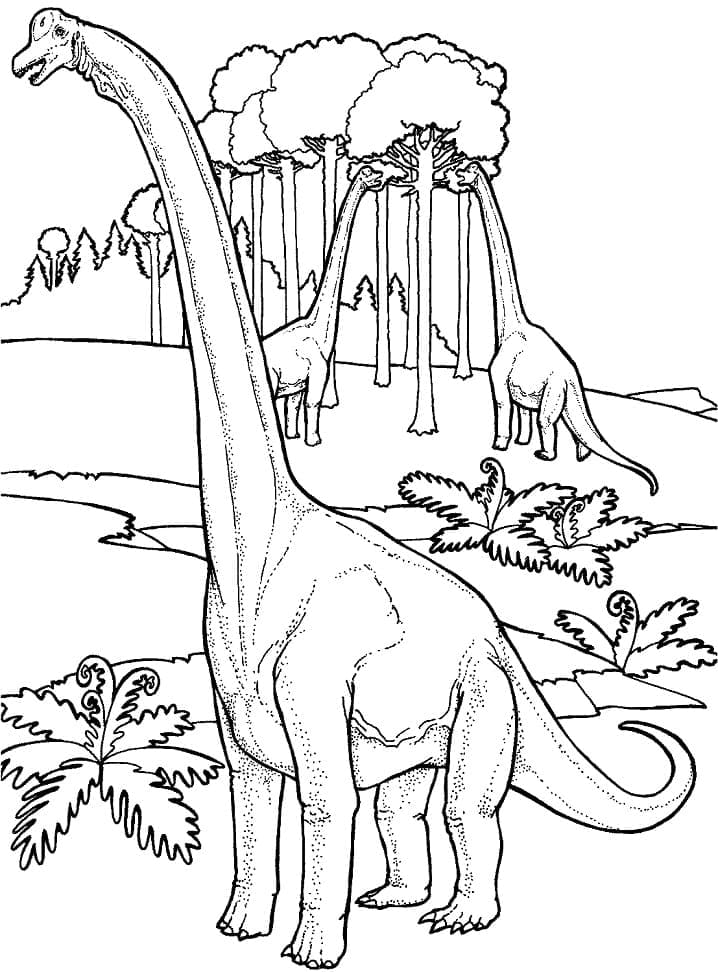Brachiosaurus 3