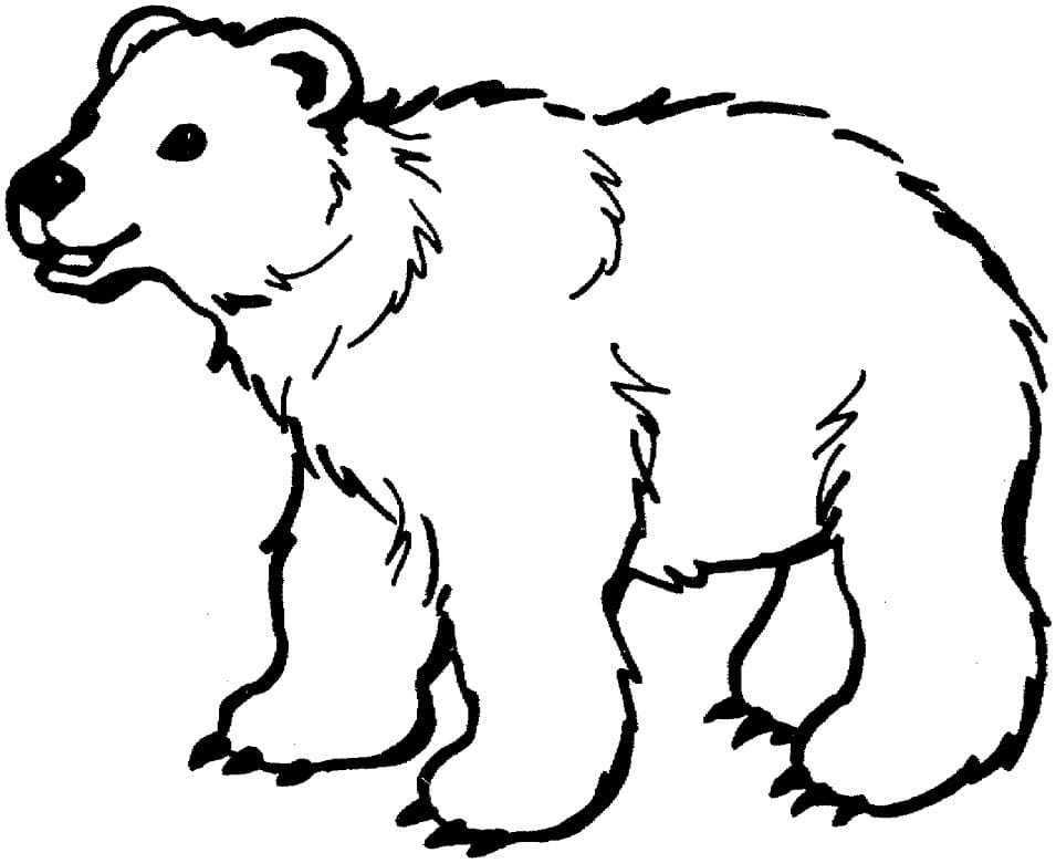Brown Bear 1 Coloring Game Brown Bear 1