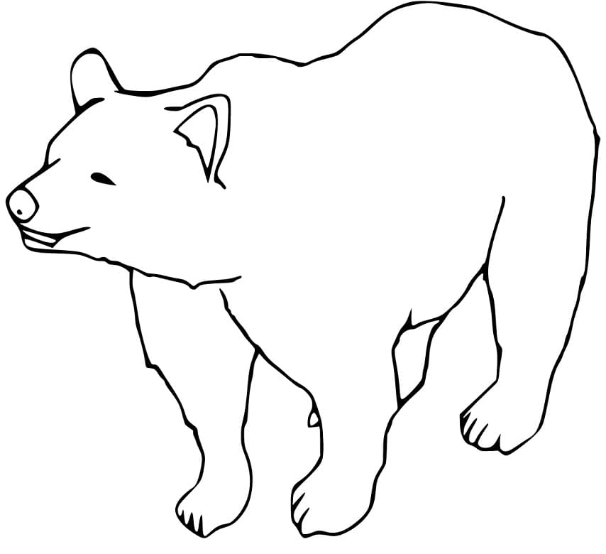 Brown Bear 12 Coloring Game Brown Bear 12