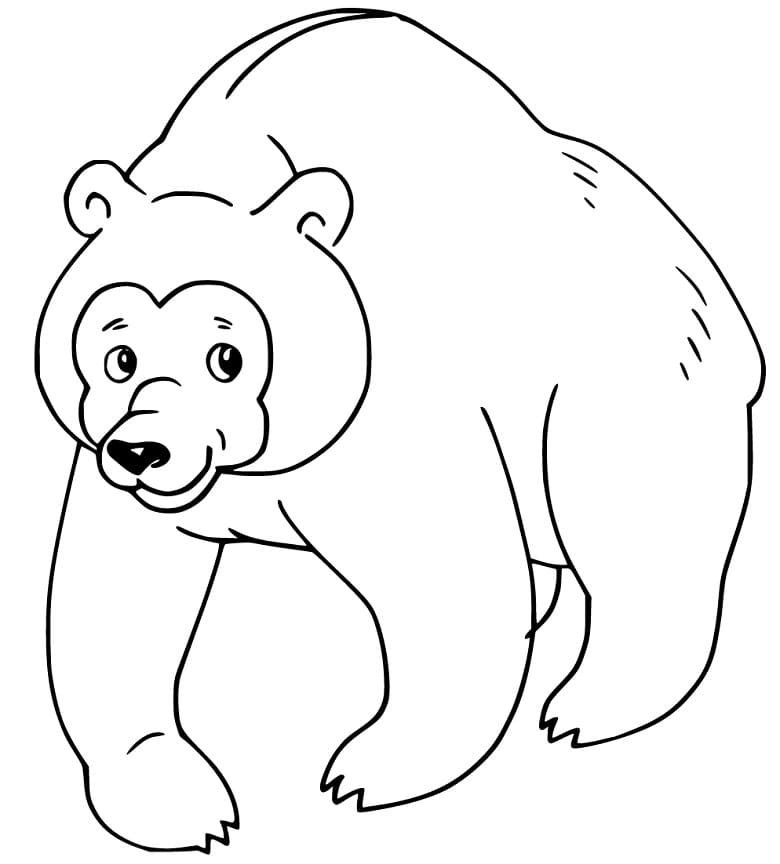 Brown Bear 14 Coloring Game Brown Bear 14