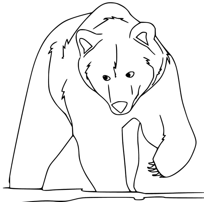 Brown Bear 17 Coloring Game Brown Bear 17