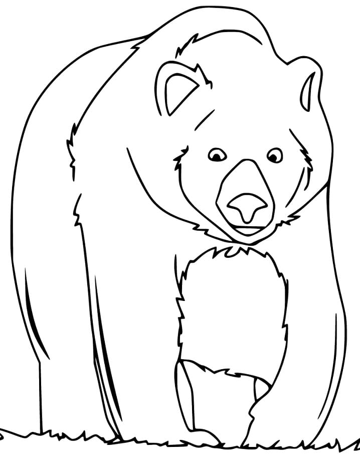 Brown Bear 18 Coloring Game Brown Bear 18