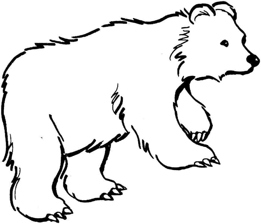 Brown Bear 2 Coloring Game Brown Bear 2