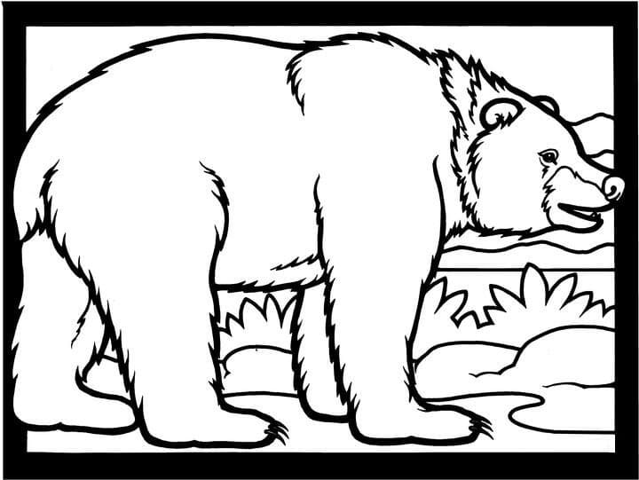 Brown Bear 3 Coloring Game Brown Bear 3