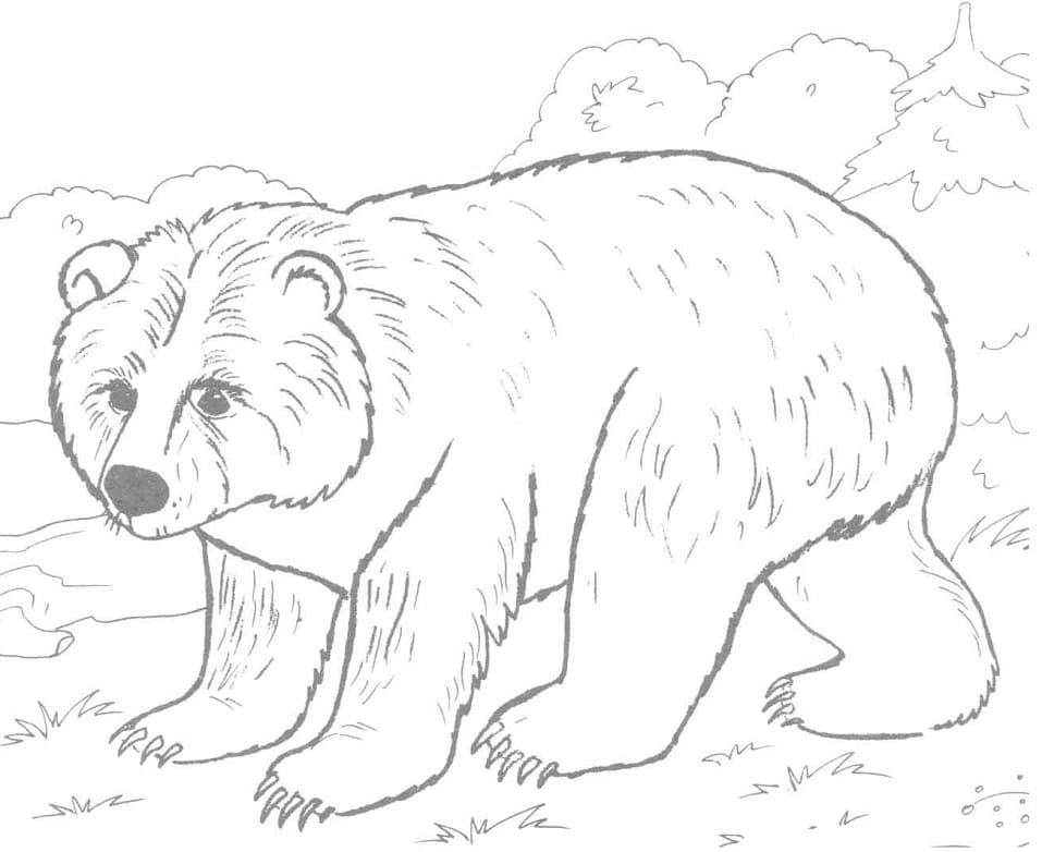 Brown Bear 4 Coloring Game Brown Bear 4