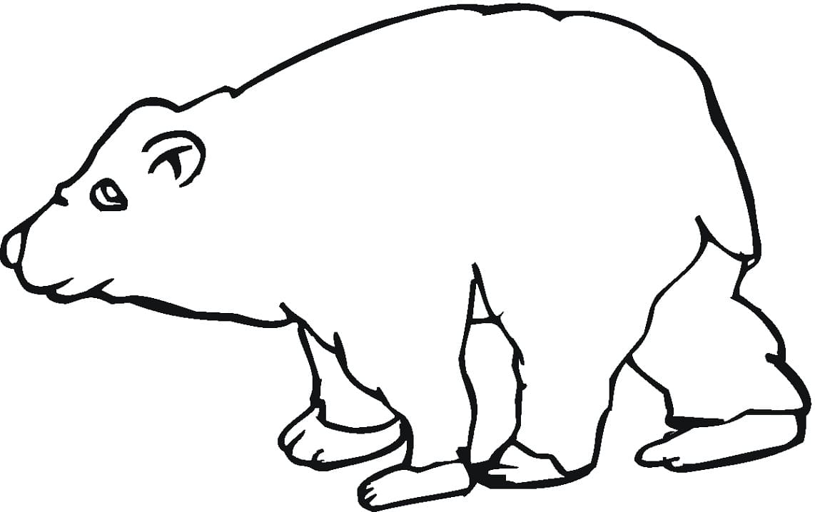 Free Printable Brown Bear Coloring - Play Free Coloring Game Online