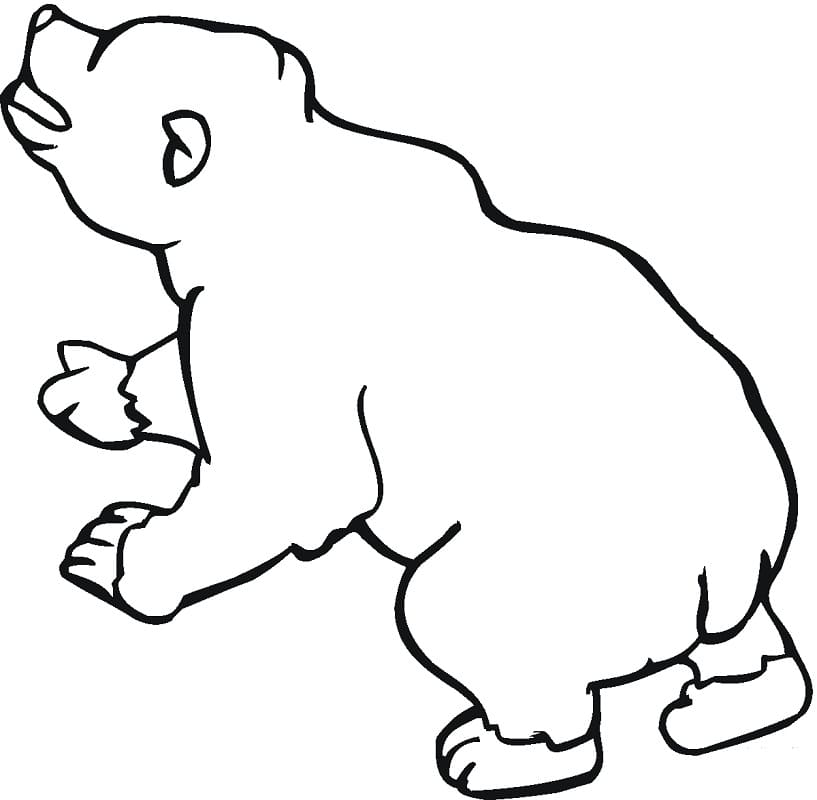 Brown Bear 6 Coloring Game Brown Bear 6