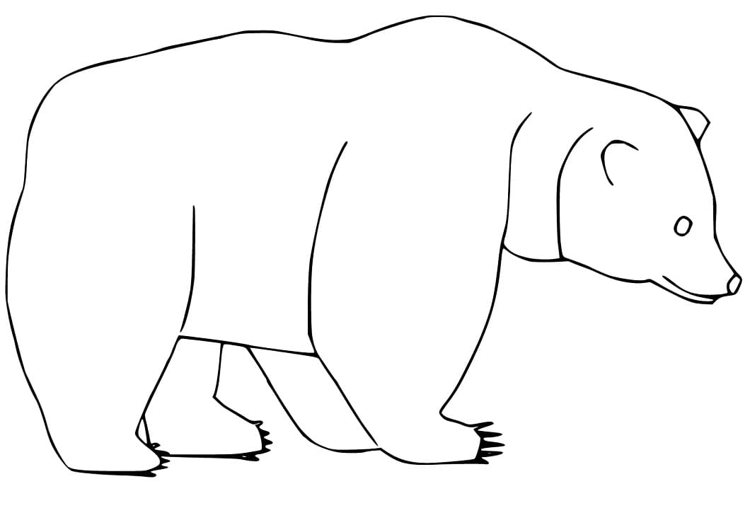Brown Bear 9 Coloring Game Brown Bear 9