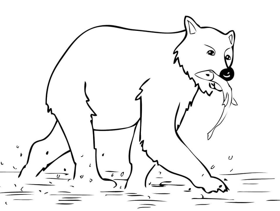 Brown Bear Catching Fish Coloring Game Brown Bear Catching Fish