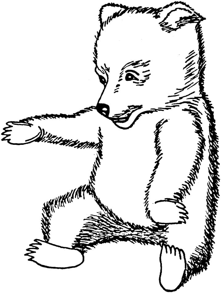 Brown Bear Cub Coloring Game Brown Bear Cub