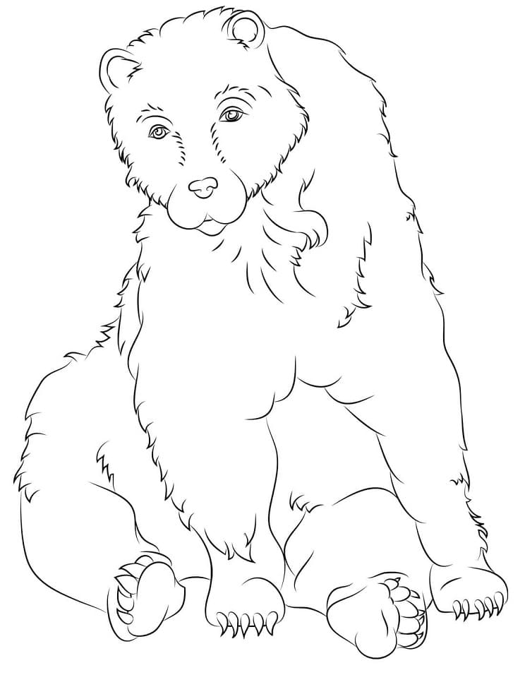 Brown Bear Sitting Coloring Game Brown Bear Sitting